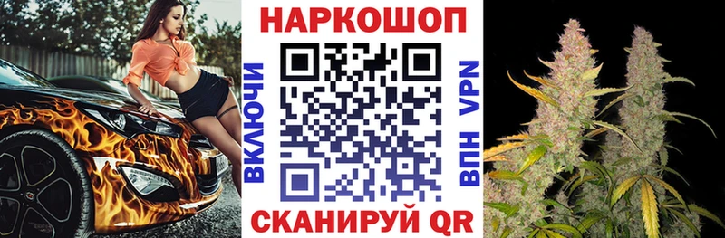 Меф Владикавказ