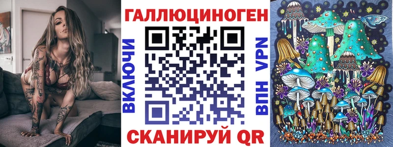 Галлюциногенные грибы Psilocybe  ОМГ ОМГ маркетплейс  Владикавказ 